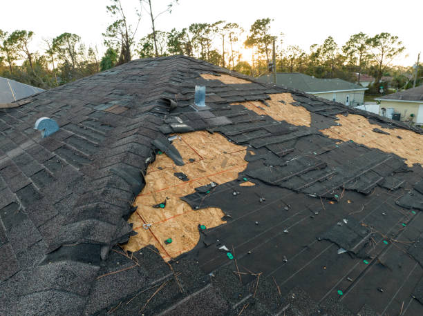 Best Roof Inspection  in Berryville, AR